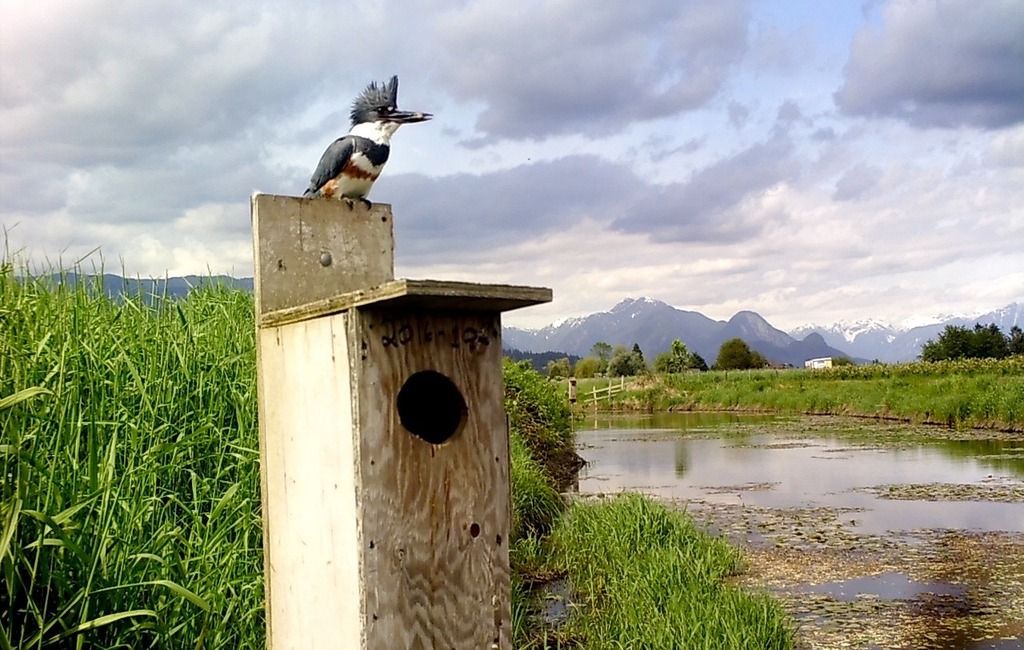 image_zps6zbxfpxj.jpeg~original