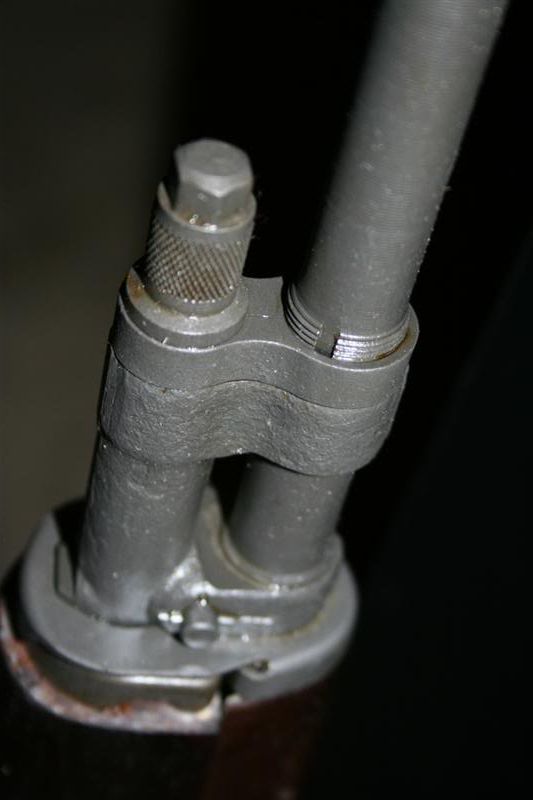 IMG_0853Medium.jpg