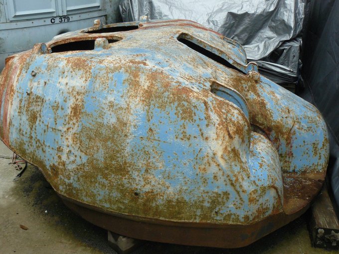 skink-1.jpg