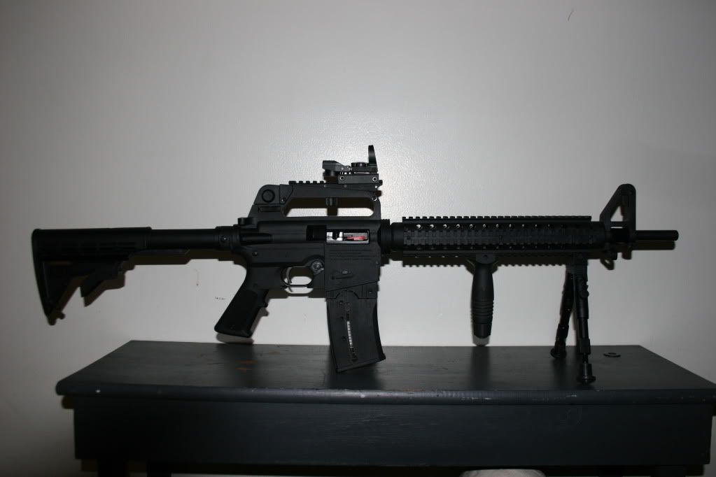 mossy3006.jpg