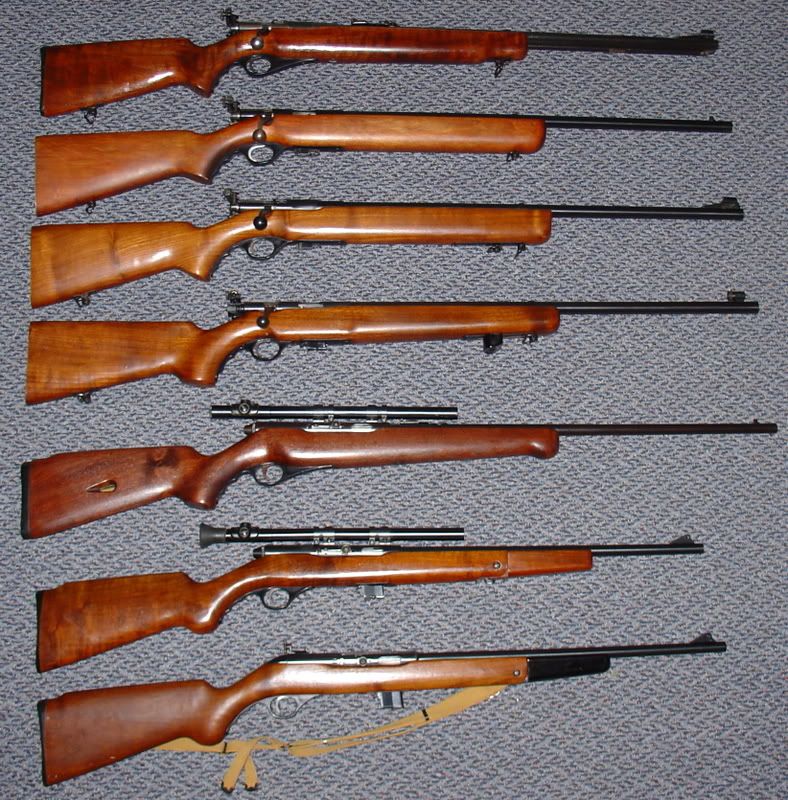 Mossycollection2.jpg
