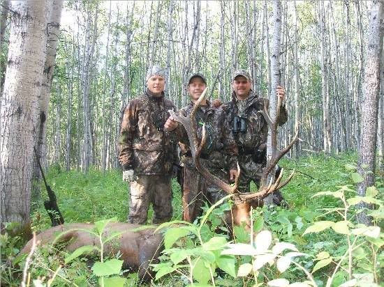 Elk08.jpg