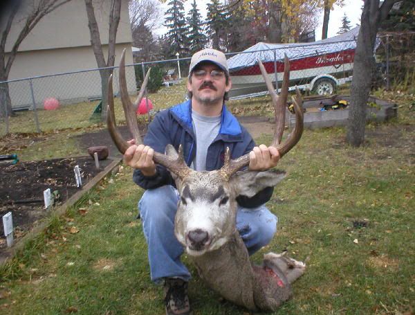 yardmulie2.jpg