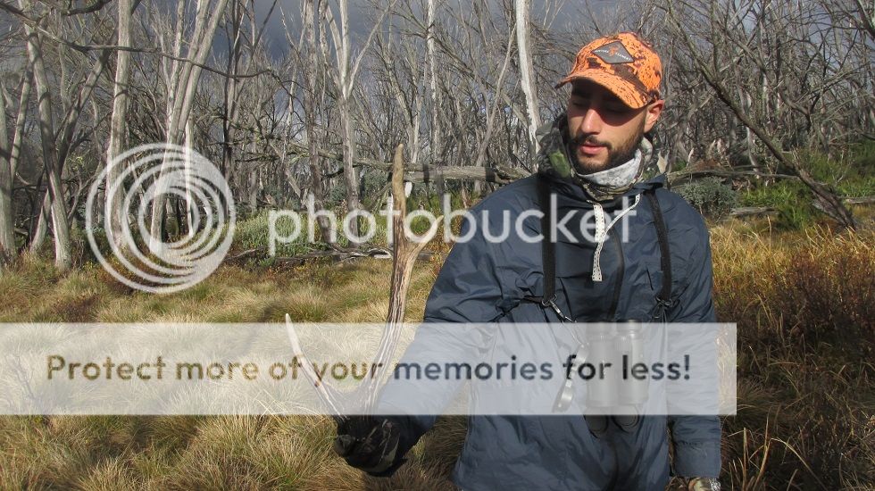 IMG_5559.jpg~original