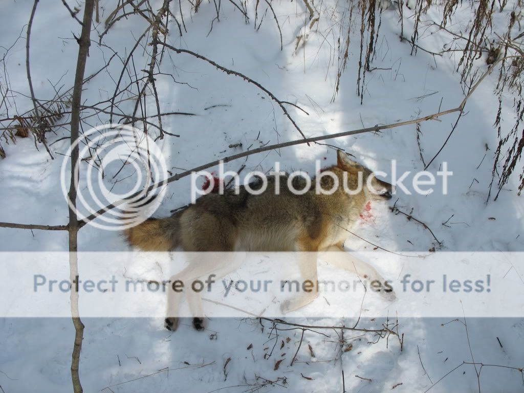 IMG_1541.jpg