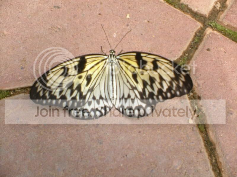 DSCF2940.jpg