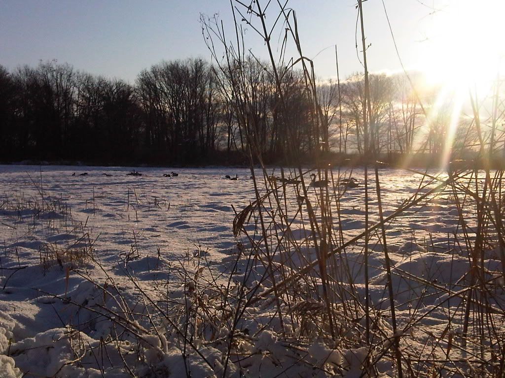 IMG00531-20111210-0848.jpg