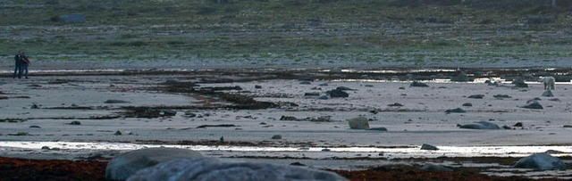DSC_0051-1.jpg