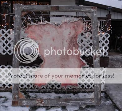 DSC_0004a.jpg