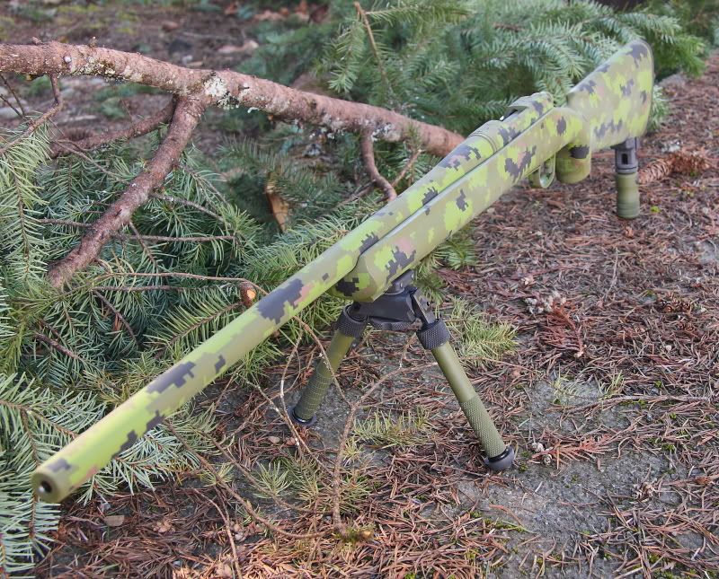 rifleandswallow003.jpg