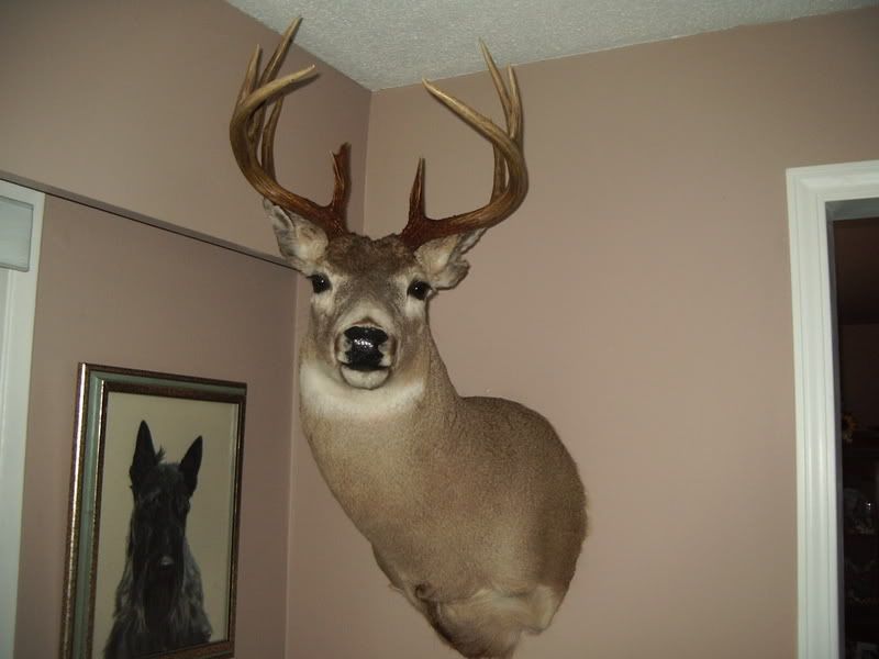2006-12-31018-1.jpg