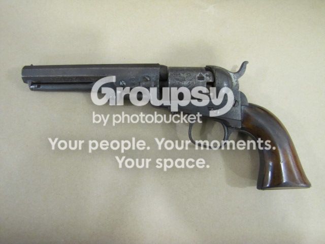 colt4.jpg
