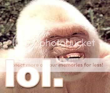 988lol-gorilla.jpg