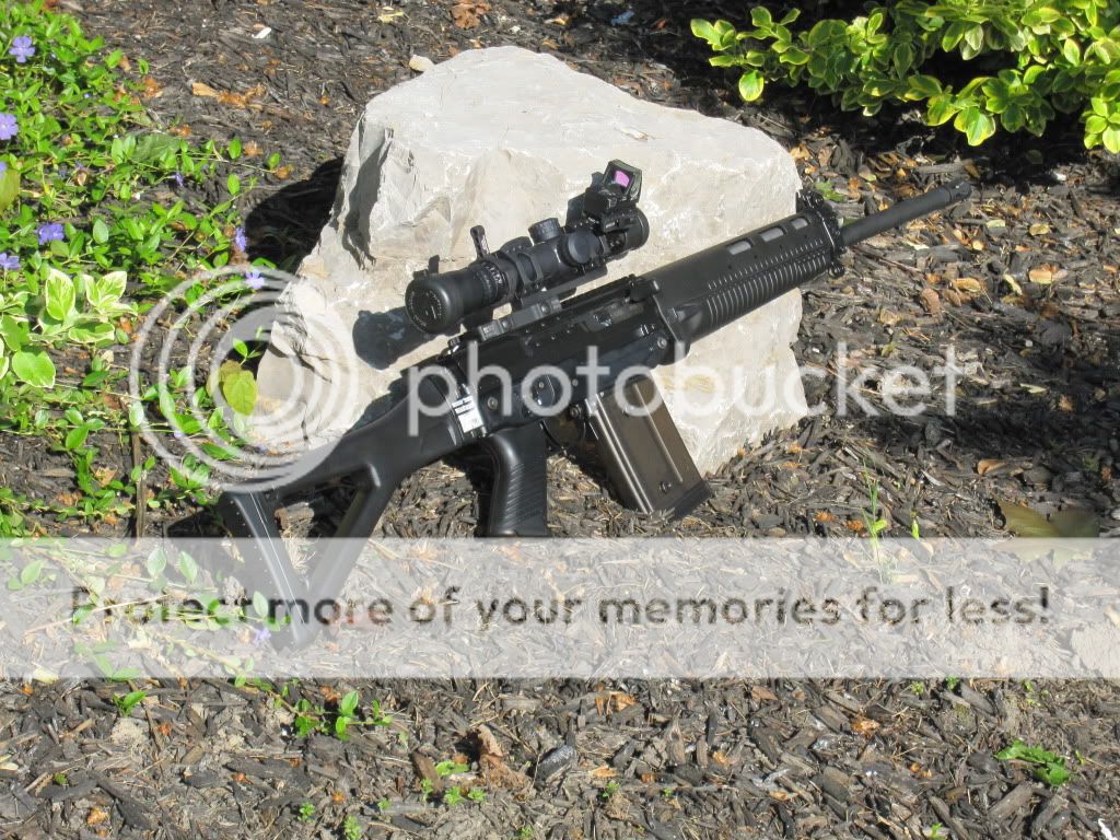 IMG_2284.jpg
