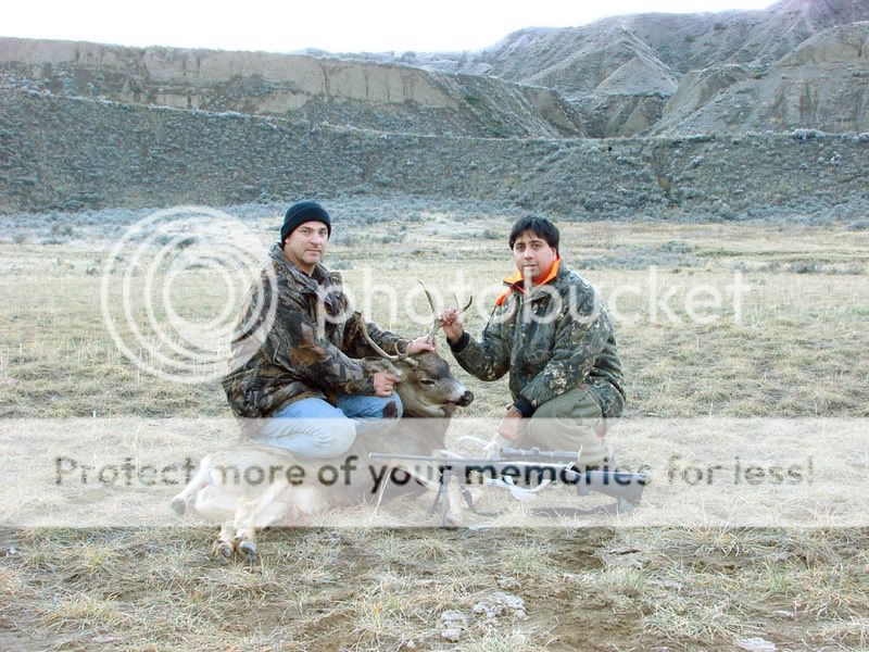 TrophyShots.jpg