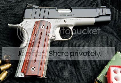 kimber5.jpg