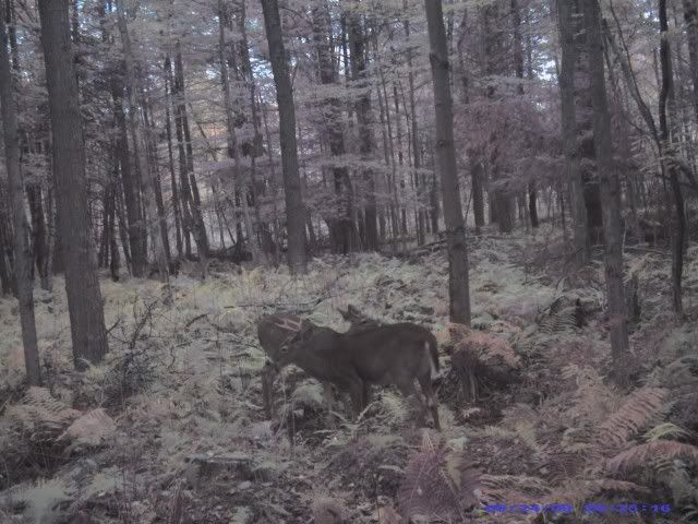 PIC_0073.jpg