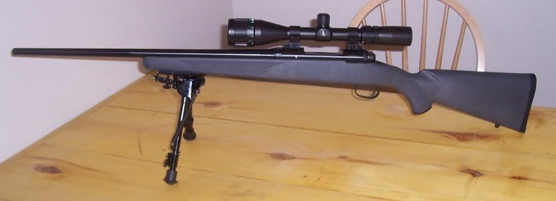 Stevens200008s.jpg