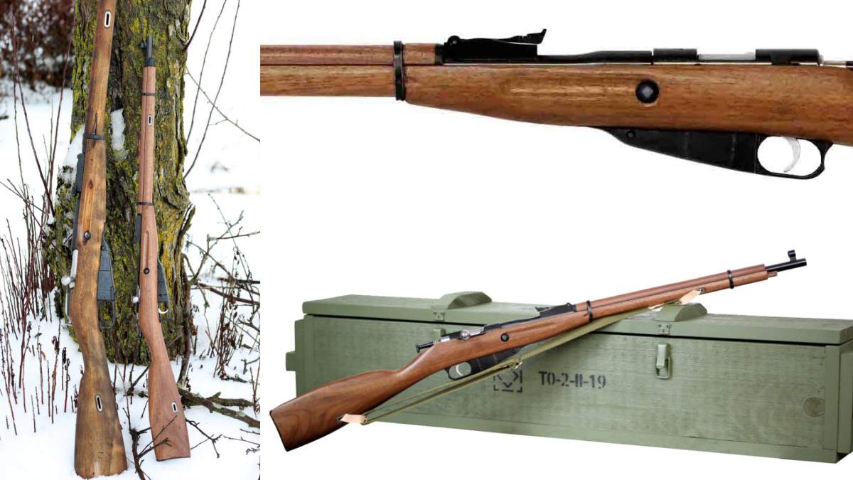 minimosin.jpg
