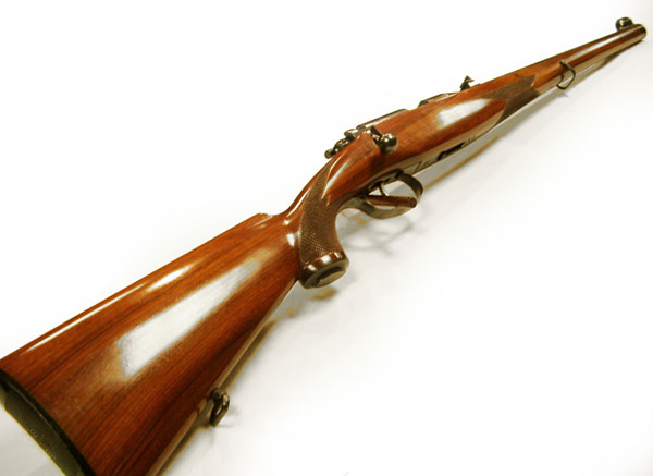 steyr_zephyr22lr_wgun_l.jpg