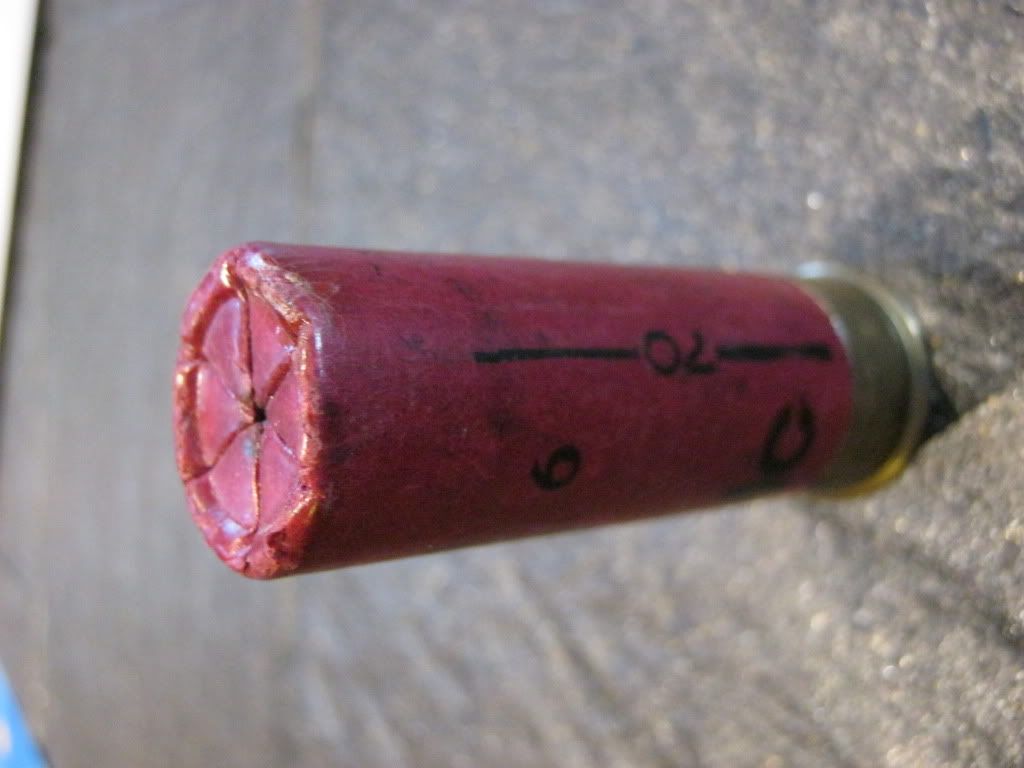 olympicshells004.jpg