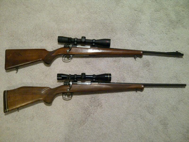 2newHuskies.jpg