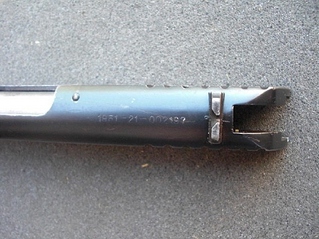 5895424.jpg