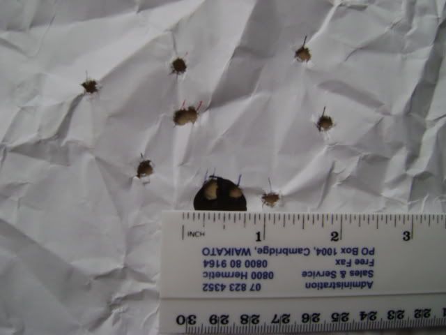 DSC00358.jpg