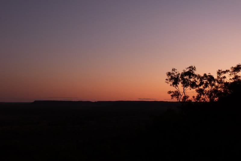 P1020436.jpg