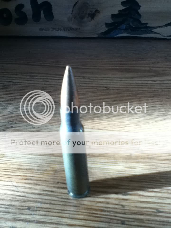 photo3.jpg