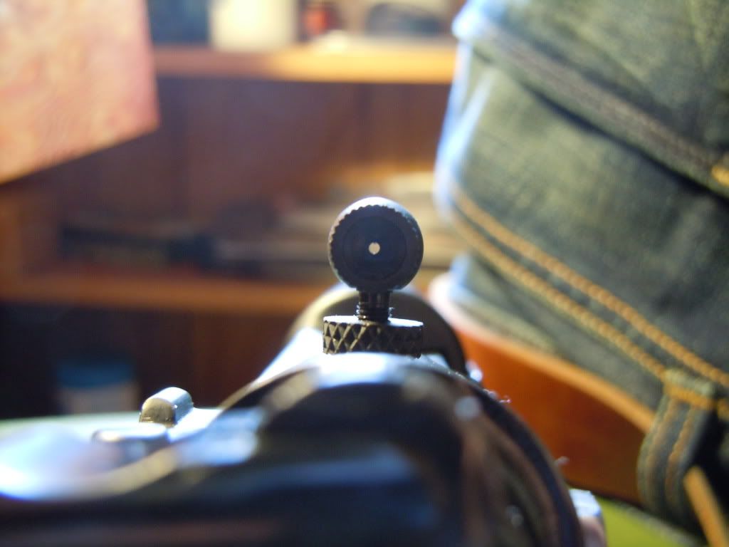 DSCN4484.jpg