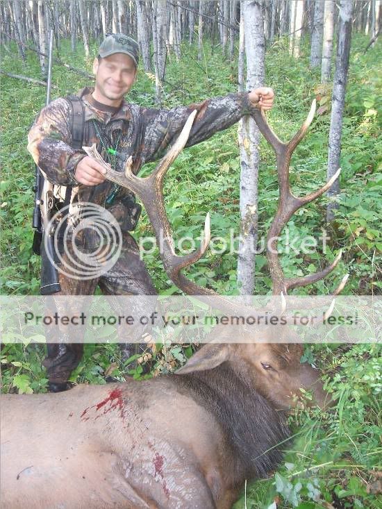 Elk200837.jpg