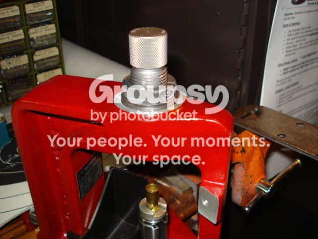 DSC01774.jpg