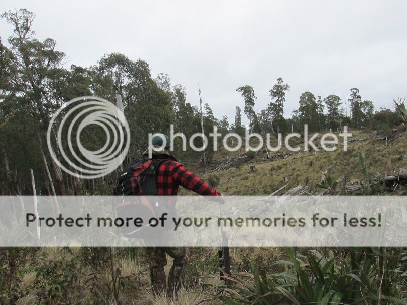 IMG_3733coupe.jpg~original