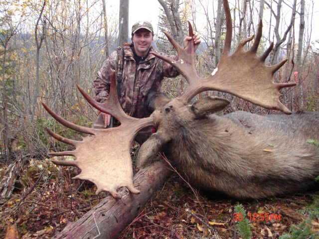 MikesBigMoose.jpg