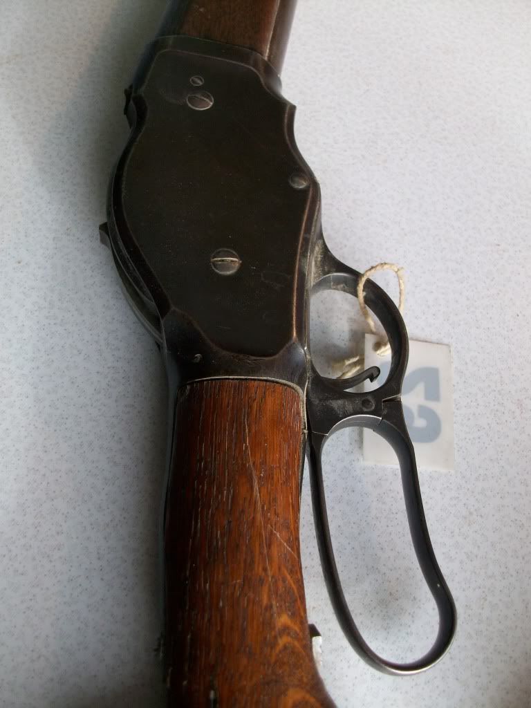 BearPawsGuns2001.jpg