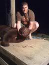 Bear1.jpg