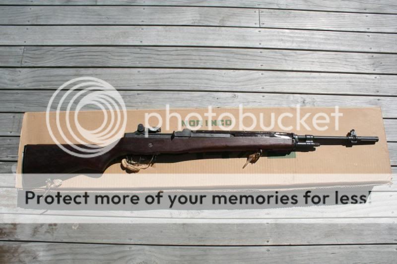 M305.jpg