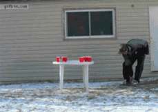 ZZbiZ.gif