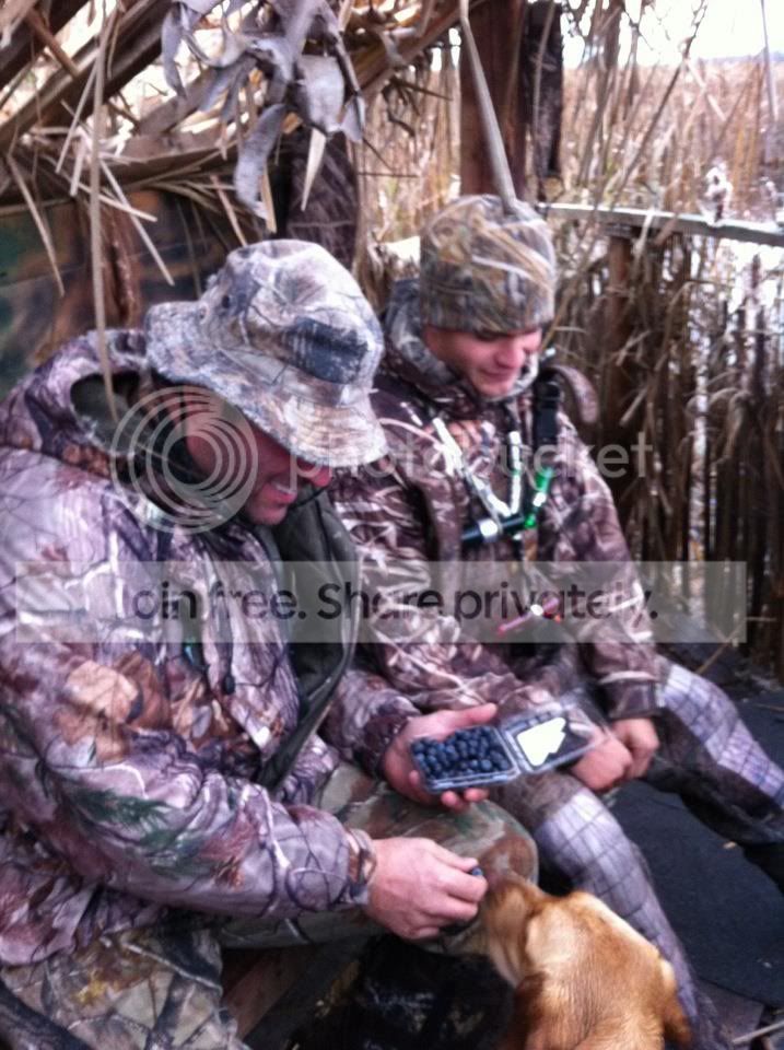DuckHuntBlueberries.jpg