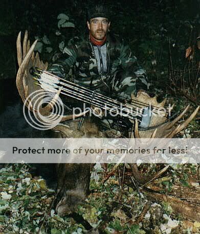 moose1993.jpg