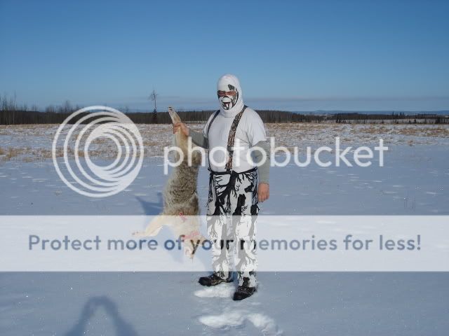 northernyote009.jpg
