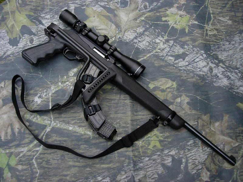 Ruger1022fold.jpg