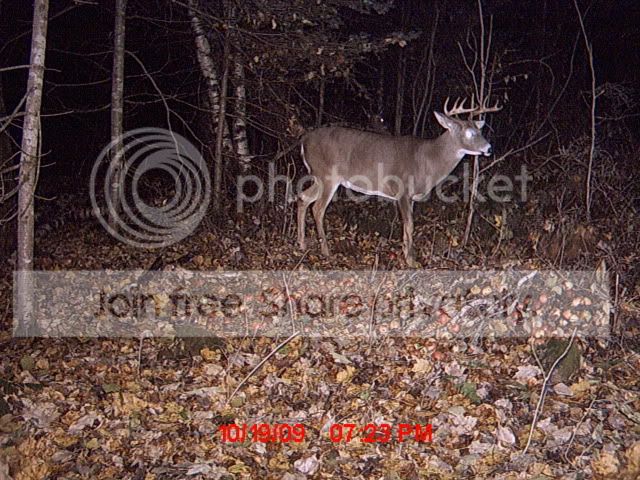 MDGC0028-1.jpg