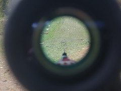 3612591666_85be6d95c7_m.jpg