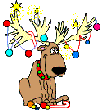 2004-12-24_101040_1Reindeer.gif