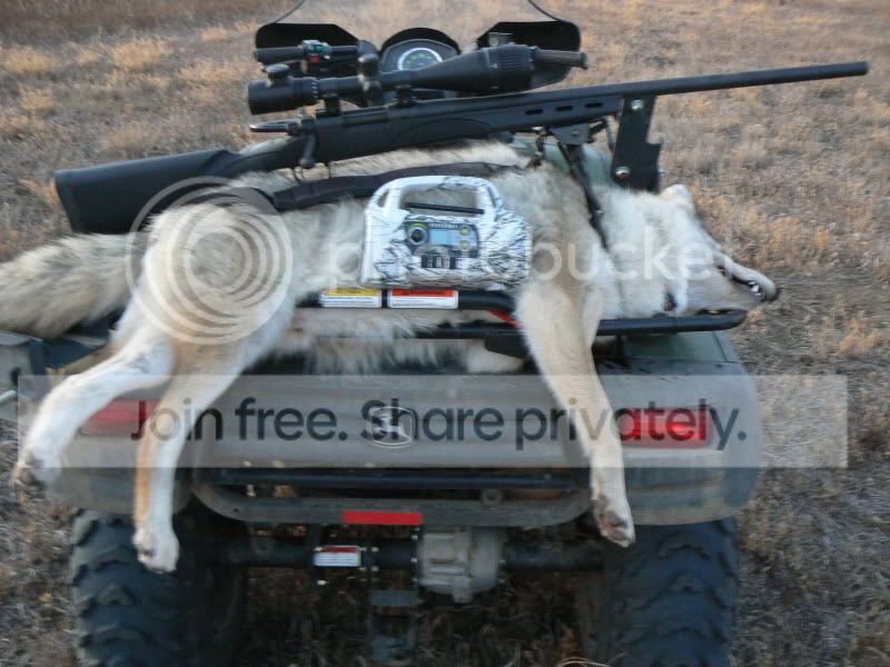 Yote1005.jpg