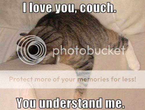 love_this_couch-764-1jpeg.jpg