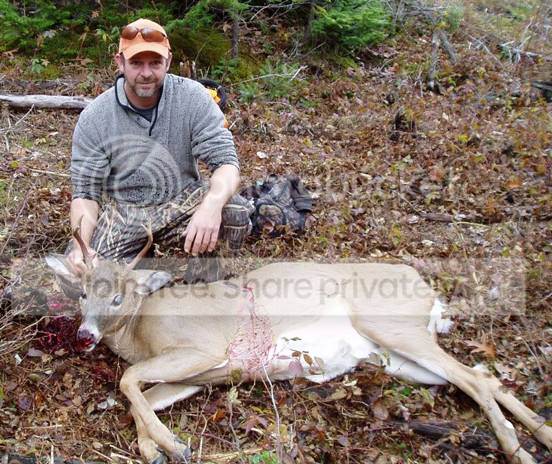 Little-Six-Pointer-1.jpg