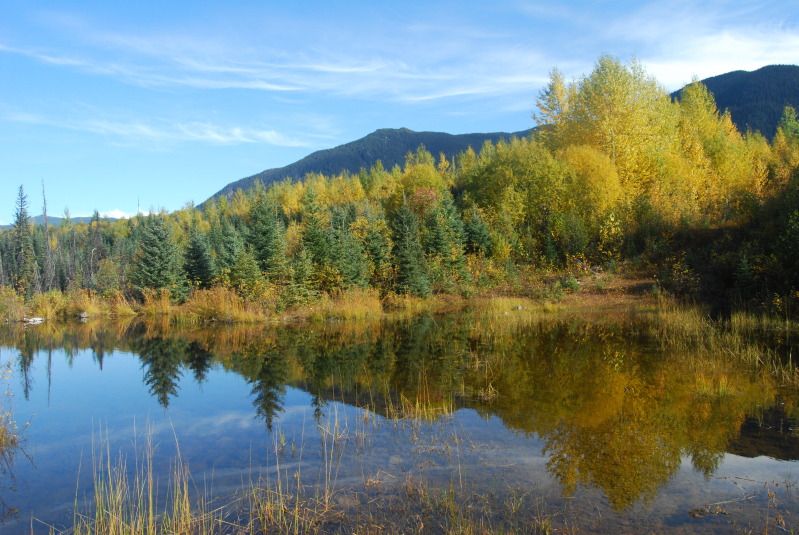 hunting08039.jpg
